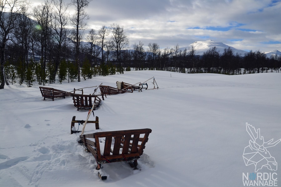 Huskies, Schlittenhunde, Tromso, Tromsø Safari, Farm, Rentiere, Schlittenhund, AIDAcara, Kreuzfahrt, Norwegen, Nordnorwegen, Skandinavien, Blog, Blogger, Schnee, Berge, Streicheln,